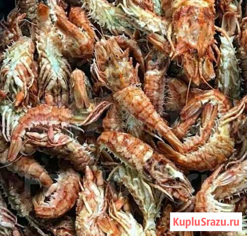 Креветка медведка Хабаровск - изображение 1