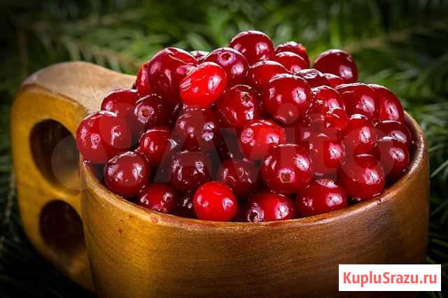 Клюква Кадуй - изображение 1