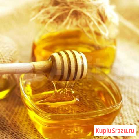 Мед Почеп - изображение 1