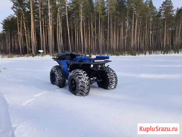 Сокол Бийск - изображение 1