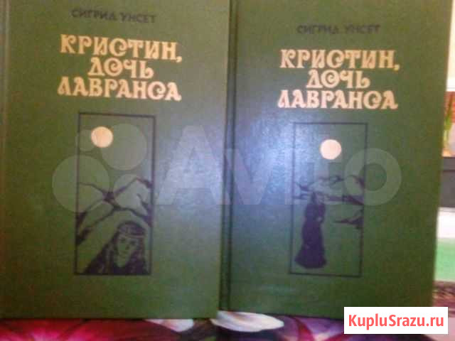 Норвежский роман Петрозаводск - изображение 1