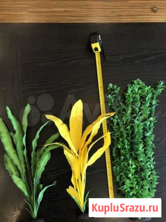 Аквариумные растенияи искусственные Подольск - изображение 1