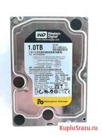 WD Enterprise 1 tb Архангельск