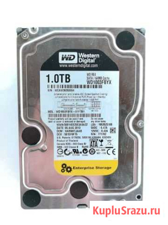 WD Enterprise 1 tb Архангельск - изображение 1