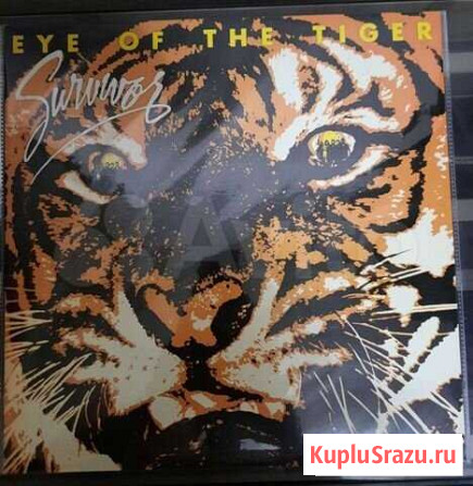 Survivor Eye Of The Tiger Пермь - изображение 1