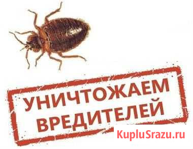 Дезинсекция-уничтожение клопов, тараканов и др. на Нижнекамск - изображение 1