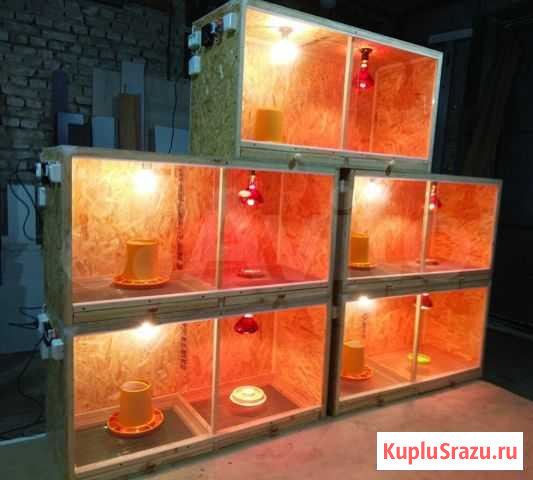 Брудер для цыплят новый Курган - изображение 1