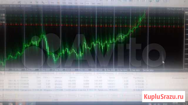 Робот для форекса Москва - изображение 1