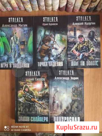 Книги серии Сталкер Воронеж - изображение 1