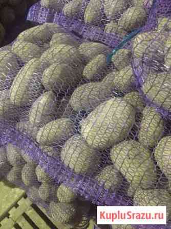 Продам картофель оптом Москва