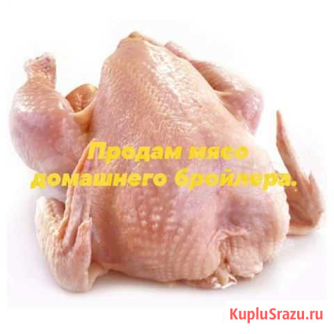Мясо домашнее Невьянск - изображение 1