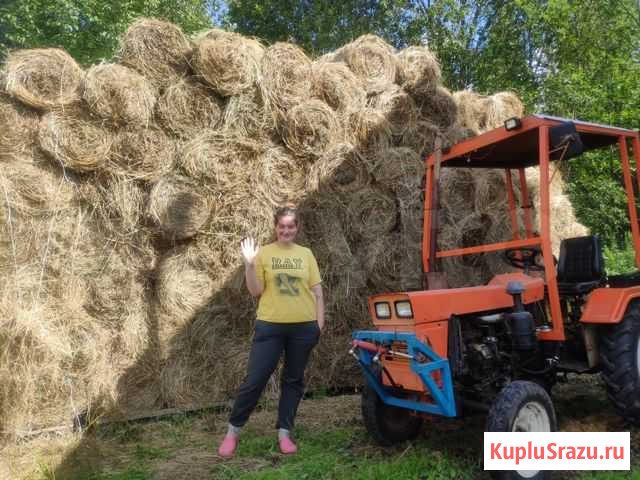 Сено разнотравье в мини-рулонах Солнечногорск - изображение 1