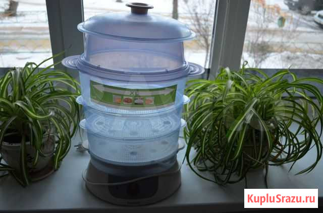 Пароварка Оренбург - изображение 1