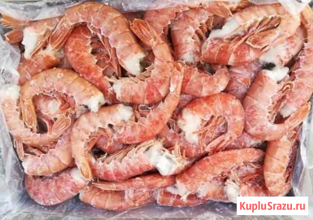 Лангусты без головы Новосибирск - изображение 1