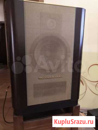 Акустика Diatone 2S-305 (R-305) Новосибирск - изображение 1