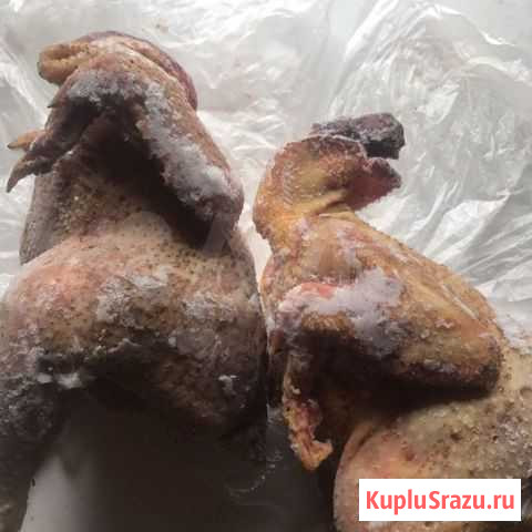 Суповые домашние молодые петушки Обухово - изображение 1