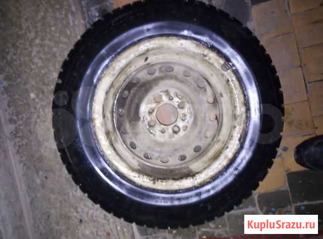 Автомобильная шина Tunga Nordway 2 175/70 R13 Йошкар-Ола - изображение 1