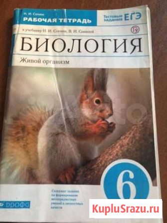 Тетрадь Новокузнецк - изображение 1