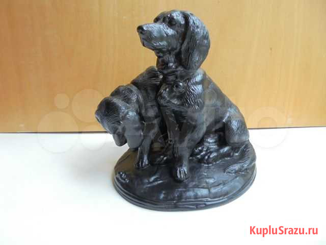 Два пойнтера щенка на смычке.Куса.1961 г Миасс - изображение 1