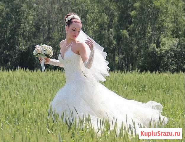 Фото- Видеосъемка Брянск - изображение 1