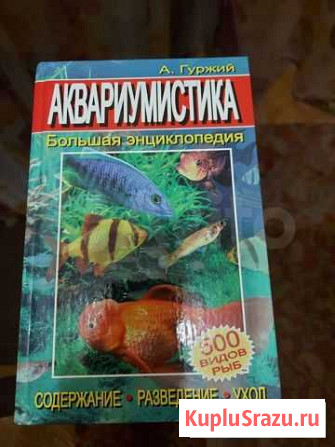 Книга Вольск - изображение 1