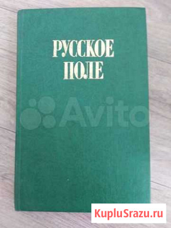 Книга Русское поле Челябинск - изображение 1