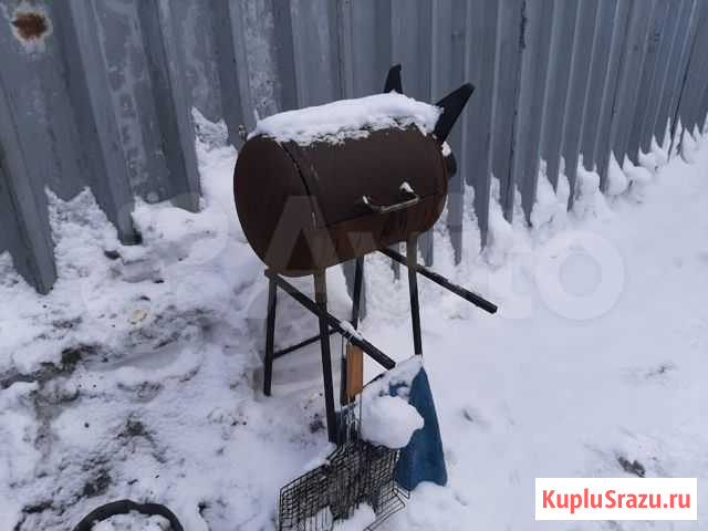 Овцы бараны Барнаул - изображение 1