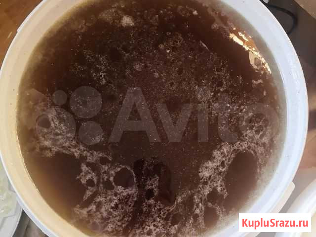 Мед 2020 года Каракулино - изображение 1