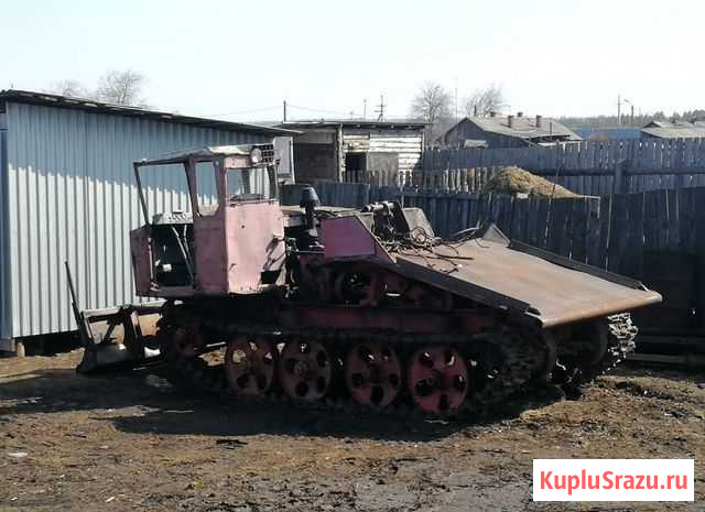 Тдт-55 Зима - изображение 1