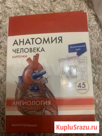 Анатомия карточки ангиология Санкт-Петербург - изображение 1