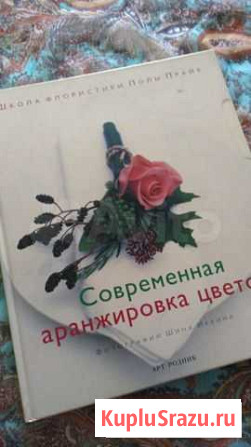 Современная аранжировка, Пола Прайк Нижний Новгород - изображение 1