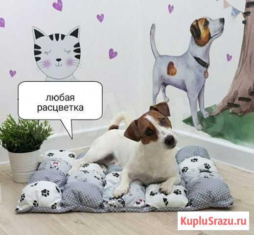 Лежанка Бомбон для кошек и собак Екатеринбург - изображение 1