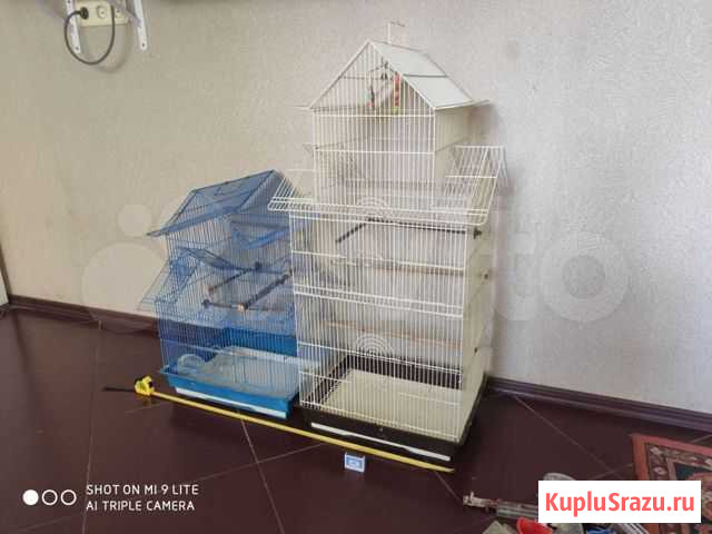 Клетка для птиц Краснодар - изображение 1