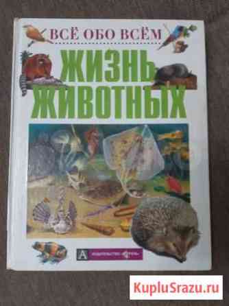 Детские книги (10 шт) Тула