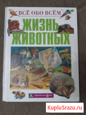 Детские книги (10 шт) Тула - изображение 1