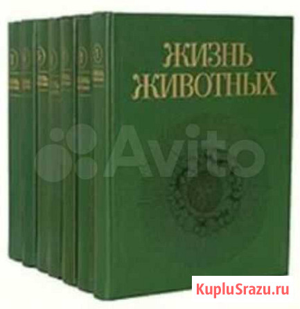 Библиотека мир животных Москва - изображение 1
