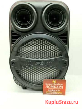Колонка ZQS-8107 Горно-Алтайск - изображение 1