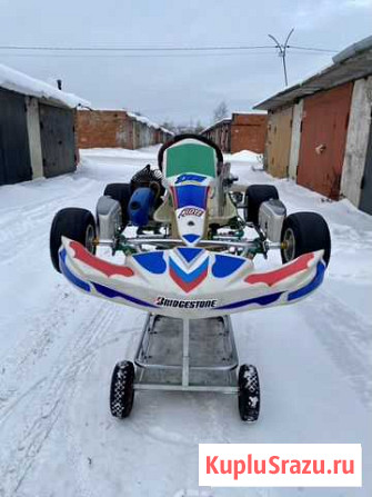 Tony Kart Rookie + Parilla 60 Санкт-Петербург - изображение 1