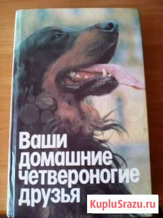 Ваши домашние четвероногие друзья Ялуторовск - изображение 1