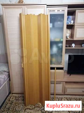 Дверь складная Кострома - изображение 1