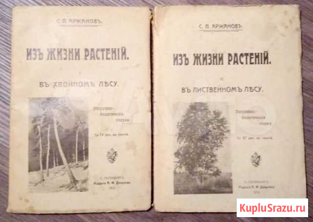 Из жизни растений. 1912-1913гг Рыбинск - изображение 1