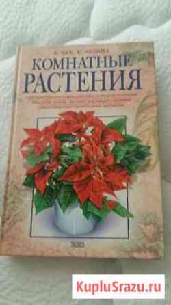 Книга Комнатные растения Краснодар