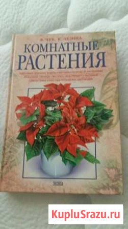 Книга Комнатные растения Краснодар - изображение 1