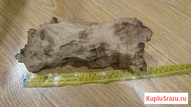 Коряга для аквариума Москва - изображение 1
