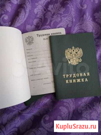 Трудовая книжка ТК-lV Самара - изображение 1