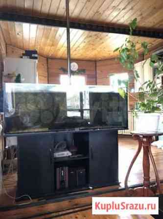 Аквариум 500-600 литров Москва