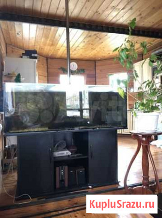 Аквариум 500-600 литров Москва - изображение 1