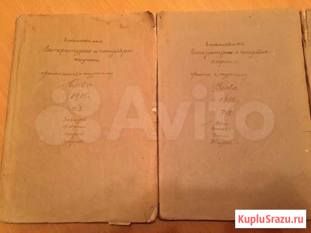 Антикварные журналы Нива Журнал для Вс Санкт-Петербург - изображение 1