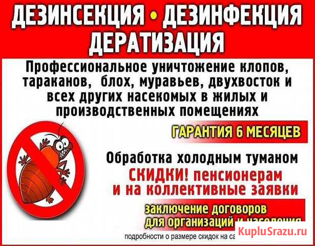 Дезинфекция, уничтожение клопов, клещей тараканов Тула - изображение 1