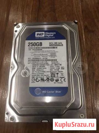 Жесткий диск 250 гб WD Blue Тюмень - изображение 1